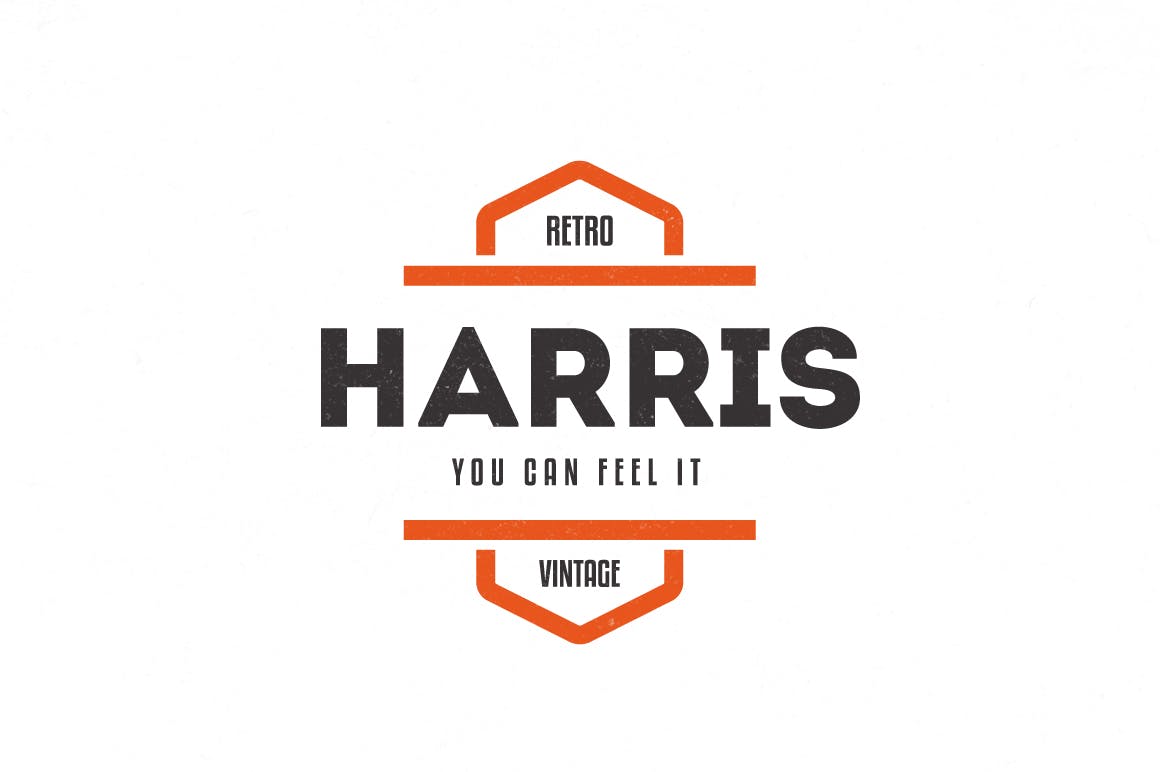 Trendy Vintage Logos 11
